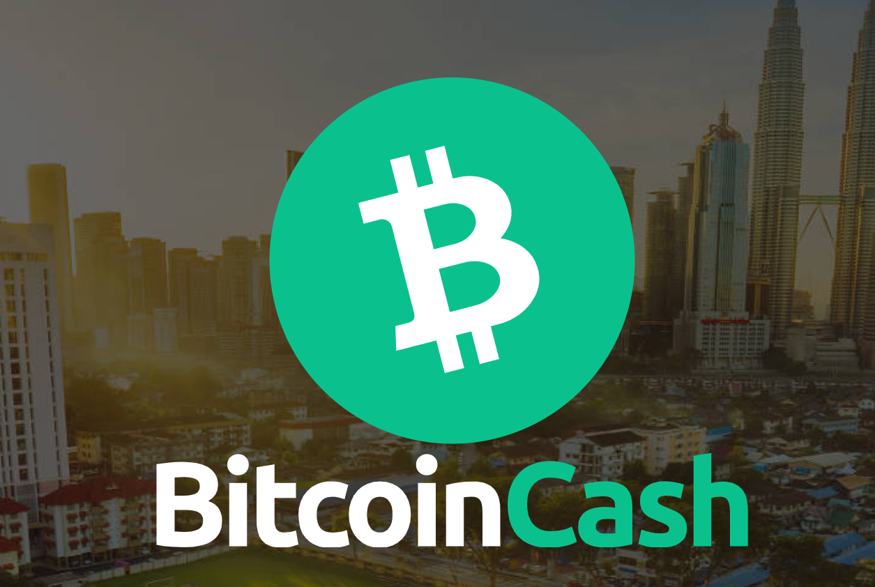 Accept-Bitcoin-Cash-Payments